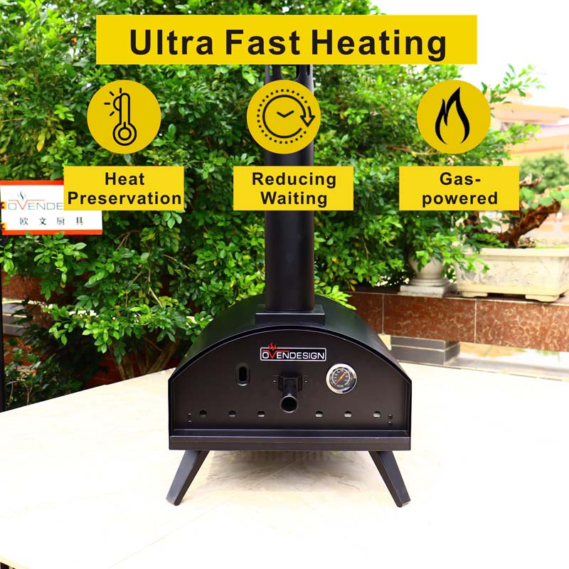 Drawer Type Black Spray Process Outdoor Gas Pizza Oven QQ-G-PD-2(2)