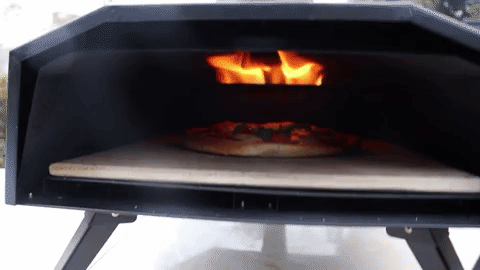 UFO Wood Fired Pizza Oven Quick Warm-up