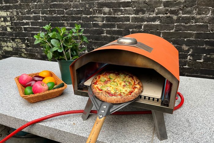 gas pizza oven (1)